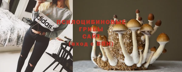 MESCALINE Нефтекумск