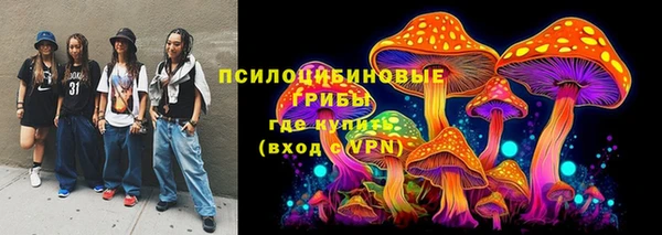 бошки Алексеевка